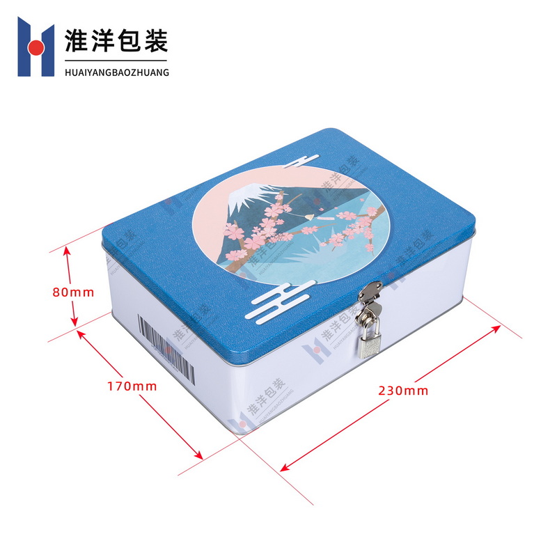 Lockable Rectangular Tinplate Canister